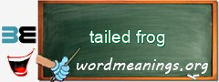 WordMeaning blackboard for tailed frog